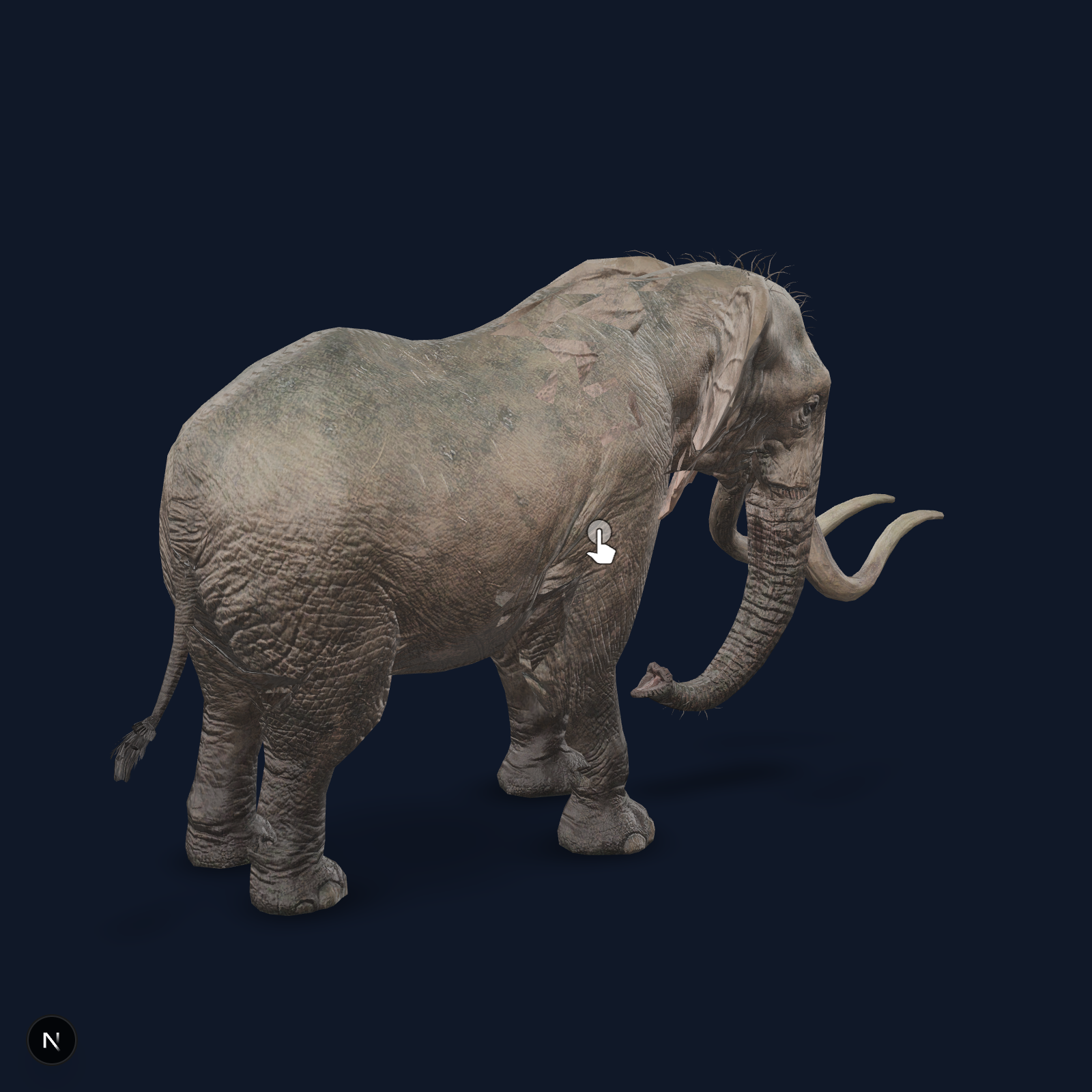 Elephant (idle animation)