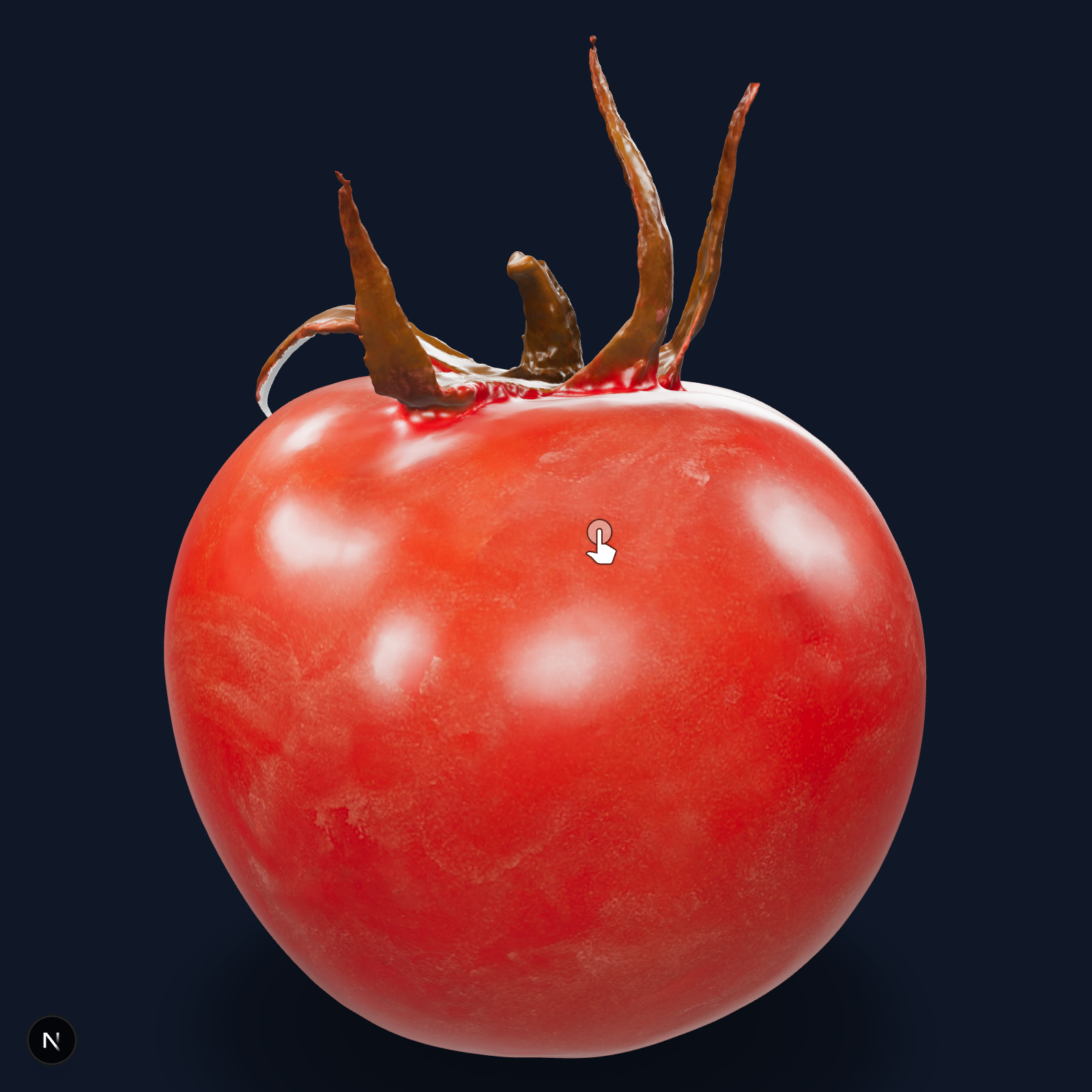 Tomato